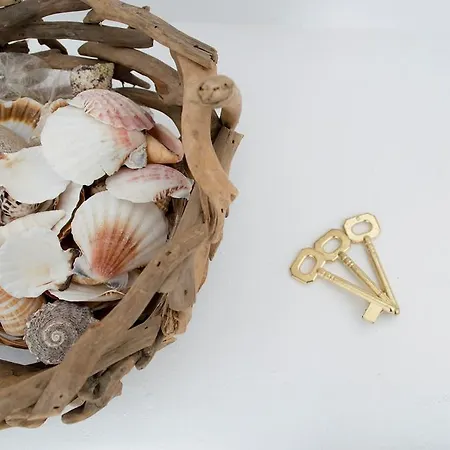 Abelomilos Exclusive 이메로비글리